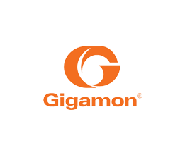 Gigamon